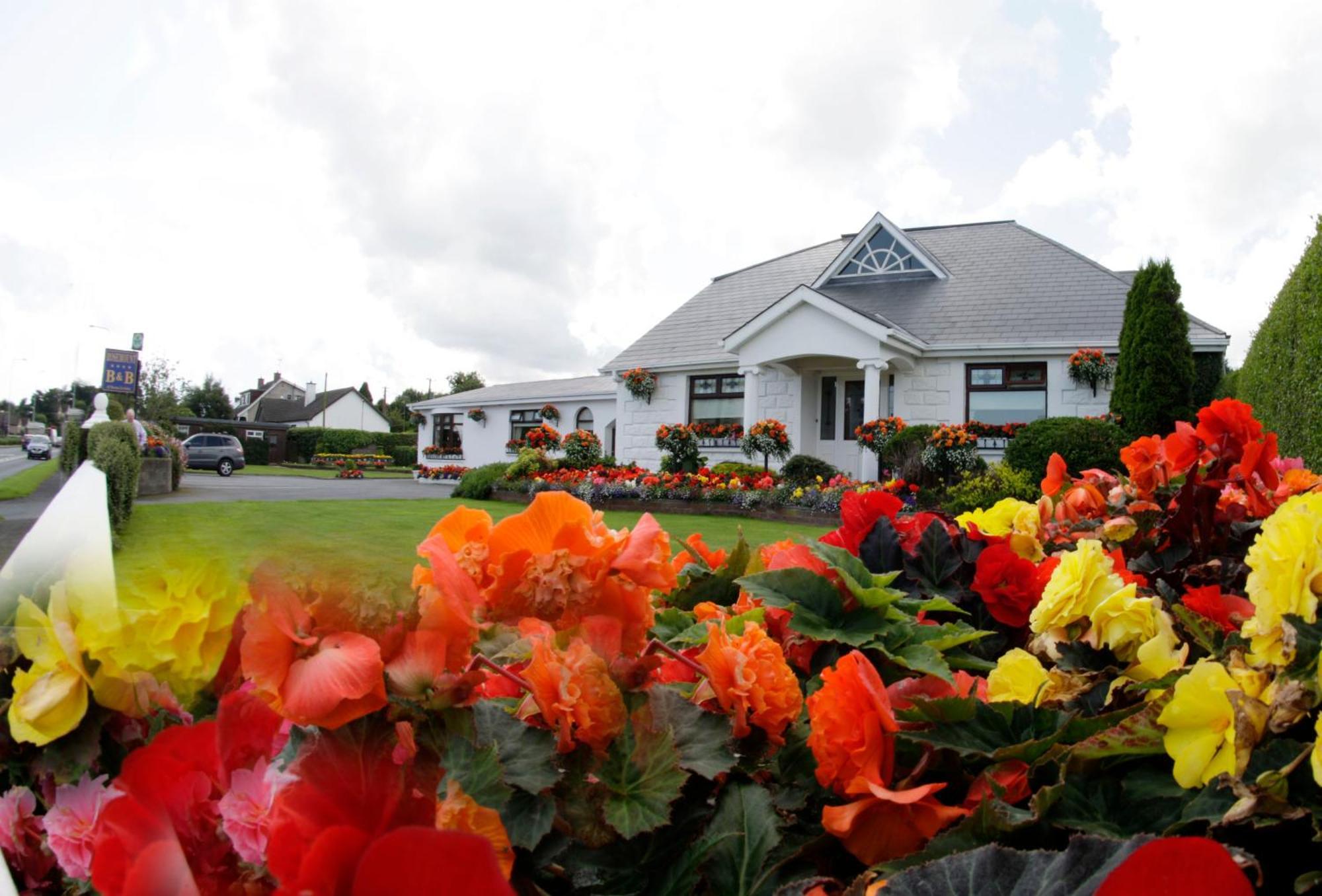 Rosemount B&B 던독 외부 사진